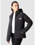 THE NORTH FACE Geacă outdoor negru / alb - Pled.ro