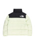 THE NORTH FACE Geacă outdoor verde pastel / negru / alb - Pled.ro