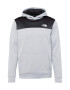 THE NORTH FACE Hanorac sport 'M REAXION FLEECE P/O HOODIE - EU' gri amestecat / negru / alb - Pled.ro