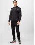 THE NORTH FACE Hanorac sport 'REAXION' negru - Pled.ro