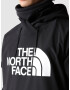 THE NORTH FACE Hanorac sport 'TEKNO' negru / alb - Pled.ro