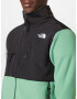 THE NORTH FACE Jachetă fleece 'Denali' verde mentă / negru / alb - Pled.ro