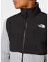 THE NORTH FACE Jachetă fleece funcțională 'Denali 2' gri / negru / alb - Pled.ro