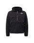 THE NORTH FACE Pulover 'Denali' negru / alb - Pled.ro