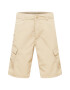 THE NORTH FACE Pantaloni cu buzunare bej - Pled.ro