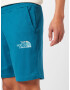 THE NORTH FACE Pantaloni cyan / alb - Pled.ro