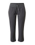 THE NORTH FACE Pantaloni outdoor 'APHRODITE' gri metalic - Pled.ro