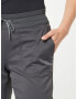 THE NORTH FACE Pantaloni outdoor 'APHRODITE' gri metalic - Pled.ro