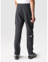 THE NORTH FACE Pantaloni outdoor 'DIABLO' gri metalic / alb - Pled.ro