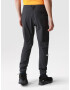 THE NORTH FACE Pantaloni outdoor 'SPEEDLIGHT' gri metalic - Pled.ro