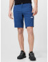 THE NORTH FACE Pantaloni sport albastru / alb - Pled.ro