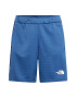 THE NORTH FACE Pantaloni sport albastru marin / albastru porumbel / alb - Pled.ro