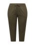 THE NORTH FACE Pantaloni sport 'APHRODITE' verde închis - Pled.ro