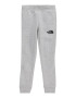 THE NORTH FACE Pantaloni sport gri amestecat / negru - Pled.ro