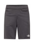 THE NORTH FACE Pantaloni sport gri metalic / negru / alb - Pled.ro