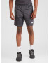 THE NORTH FACE Pantaloni sport gri metalic / negru / alb - Pled.ro