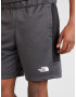 THE NORTH FACE Pantaloni sport gri metalic / negru / alb - Pled.ro