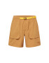 THE NORTH FACE Pantaloni sport maro deschis / galben - Pled.ro