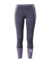 THE NORTH FACE Pantaloni sport opal / albastru porumbel / alb - Pled.ro