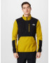 THE NORTH FACE Pulovere sport 'GLACIER' galben muștar / negru - Pled.ro