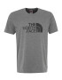 THE NORTH FACE Tricou gri - Pled.ro