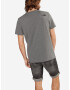 THE NORTH FACE Tricou gri - Pled.ro