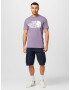 THE NORTH FACE Tricou lila / alb - Pled.ro