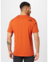 THE NORTH FACE Tricou 'MOUNTAIN' bronz / galben neon / negru / alb - Pled.ro