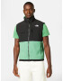 THE NORTH FACE Vestă sport 'DENALI' verde jad / negru / alb - Pled.ro