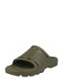 TIMBERLAND Flip-flops kaki - Pled.ro