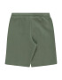 TIMBERLAND Pantaloni verde / alb - Pled.ro