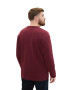 TOM TAILOR Men + Tricou roșu burgundy - Pled.ro