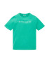 TOM TAILOR Tricou verde jad / alb - Pled.ro