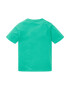 TOM TAILOR Tricou verde jad / alb - Pled.ro