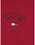 Tommy Hilfiger Big & Tall Bluză de molton 'ARCHED VARSITY' albastru / roșu vin / alb - Pled.ro