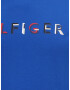 Tommy Hilfiger Big & Tall Tricou albastru / albastru închis / roșu / alb - Pled.ro