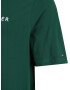 Tommy Hilfiger Big & Tall Tricou albastru închis / verde închis / roșu / alb - Pled.ro