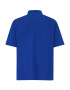 Tommy Hilfiger Big & Tall Tricou bleumarin / albastru regal / roșu / alb - Pled.ro