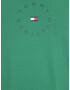 Tommy Hilfiger Big & Tall Tricou bleumarin / verde / roși aprins / alb - Pled.ro