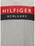 Tommy Hilfiger Big & Tall Tricou gri amestecat / roșu / negru / alb - Pled.ro