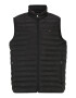 Tommy Hilfiger Big & Tall Vestă roșu / negru / alb - Pled.ro