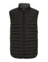 Tommy Hilfiger Big & Tall Vestă roșu / negru / alb - Pled.ro