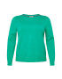 Tommy Hilfiger Curve Pulover verde - Pled.ro