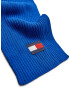 TOMMY HILFIGER Fular bleumarin / safir / roșu / alb - Pled.ro