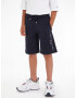 TOMMY HILFIGER Pantaloni albastru marin / roșu / alb - Pled.ro