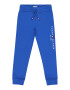 TOMMY HILFIGER Pantaloni bleumarin / albastru regal / roșu / alb - Pled.ro