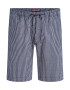 TOMMY HILFIGER Pantaloni 'Harlem' albastru marin / albastru pastel - Pled.ro