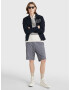 TOMMY HILFIGER Pantaloni 'Harlem' albastru marin / albastru pastel - Pled.ro