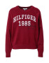 TOMMY HILFIGER Pulover ciocolatiu / rubiniu / alb - Pled.ro