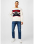 TOMMY HILFIGER Pulover crem / albastru noapte / galben / roșu vin - Pled.ro